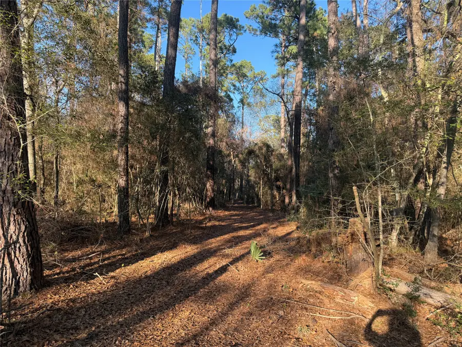 00006 Deer Ridge Road Road, Bedias, TX 77831 - Image #2