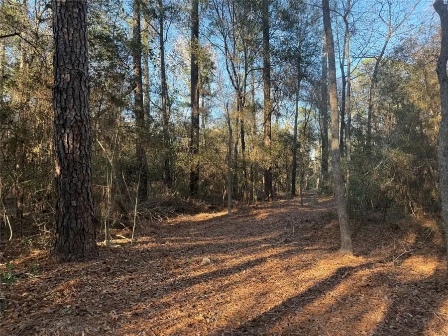 00006 Deer Ridge Road Road, Bedias, TX 77831 - Image #3