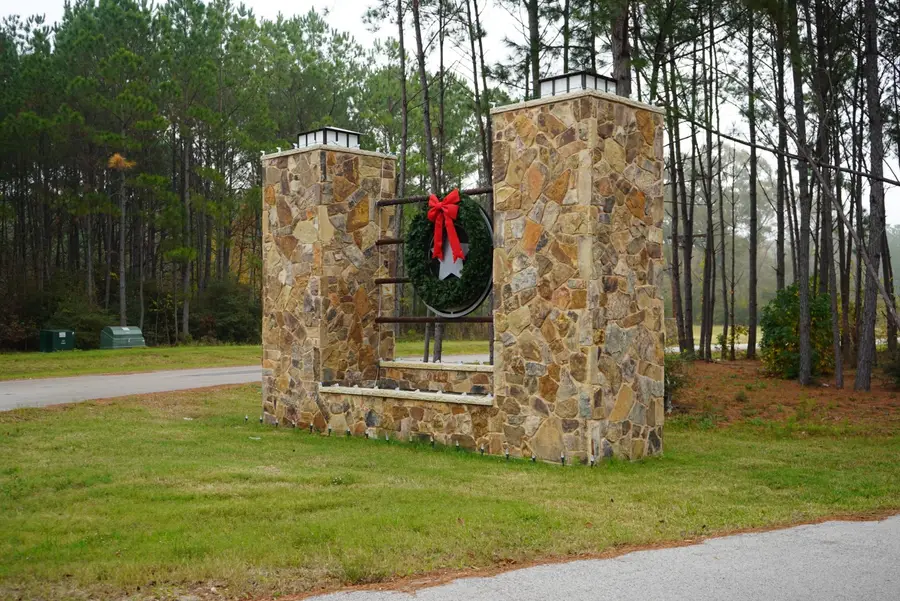 16098 Forest Mill Road, Willis, TX 77378 - #2