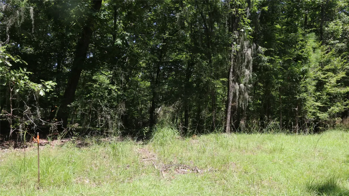 28411 County Road 374, Broaddus, TX 75929 - #1