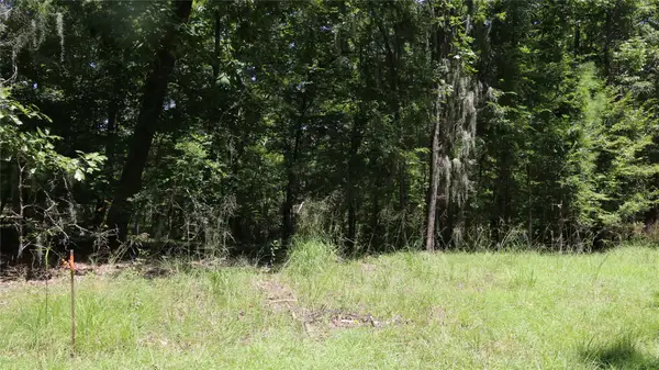 28411 County Road 374, Broaddus, TX 75929