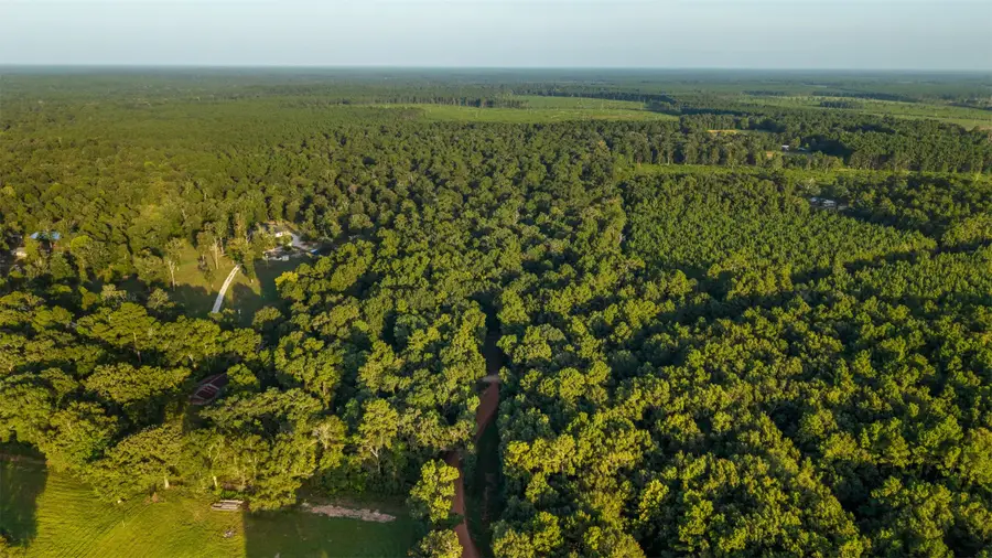 4849 Menard Chapel Road, Livingston, TX 77351 - #3