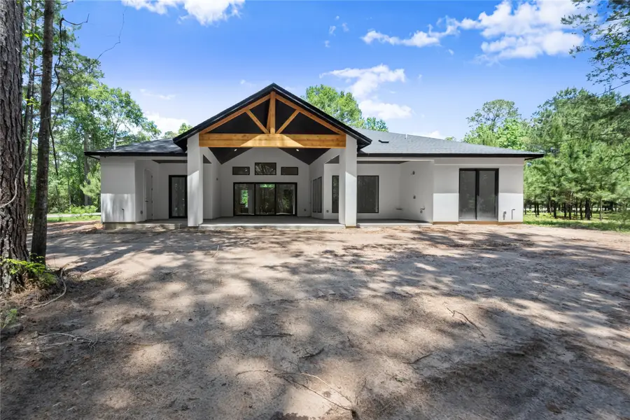 117 Sandpiper Drive, New Waverly, TX 77358 - #2