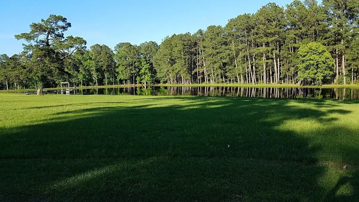 0 Lincoln Wiggins Street, Livingston, TX 77351 - Image #1