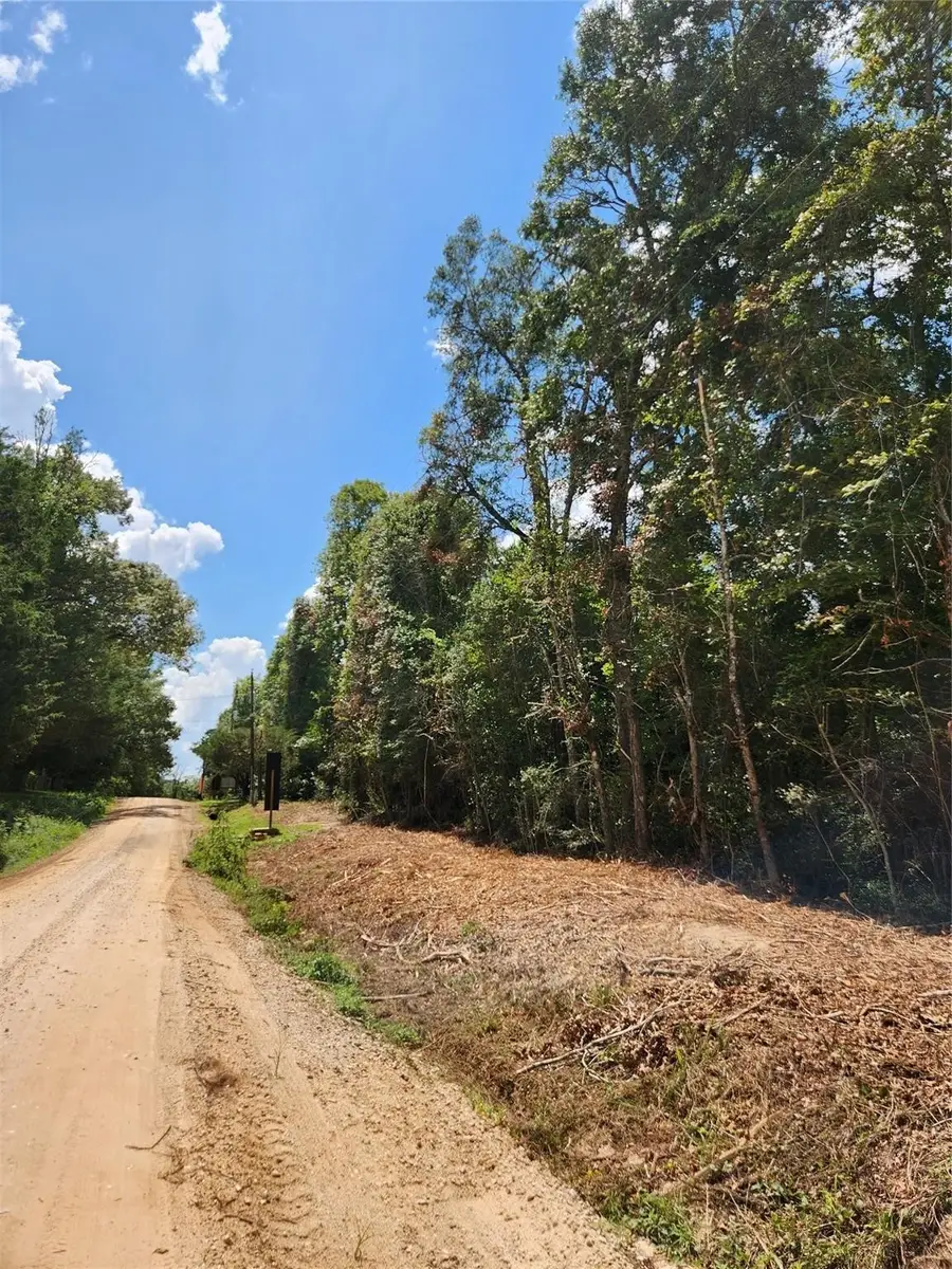 0 Lincoln Wiggins Street, Livingston, TX 77351 - Image #2