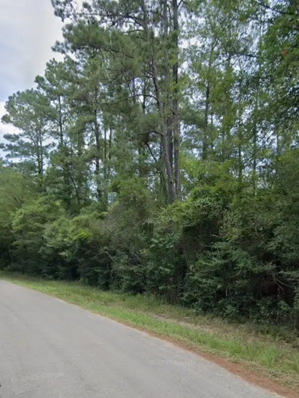 30569 Lake Rd, Waller, TX 77484 - #2