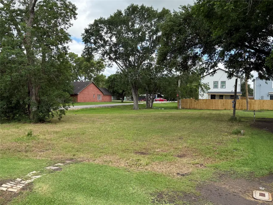 407 N 3rd Street, Beasley, TX 77417 - #3