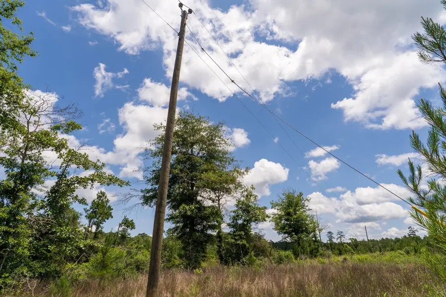 TBD 18 Cr 4210, Woodville, TX 75979 - #2