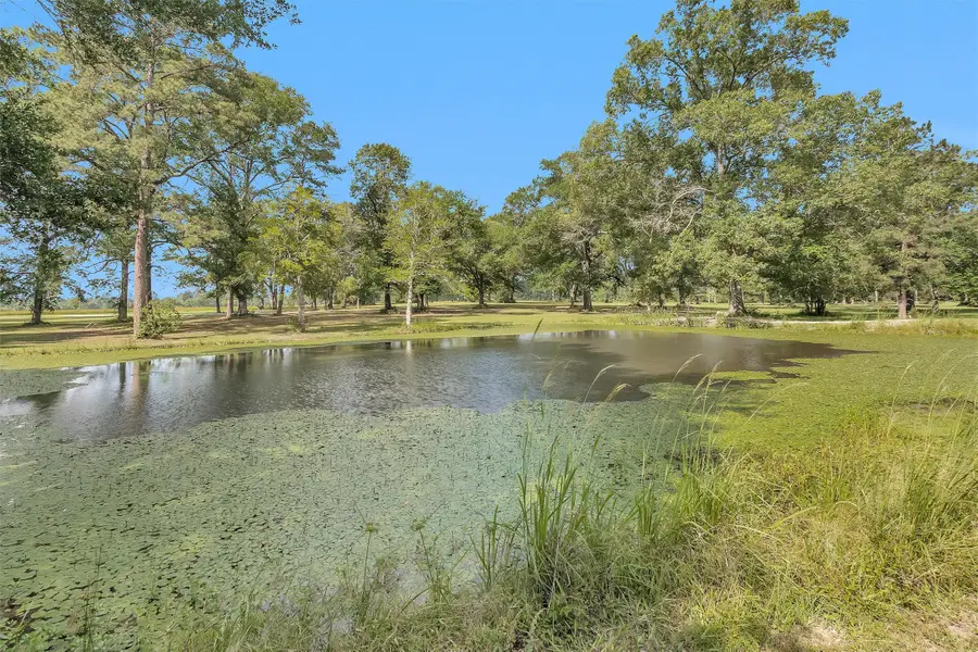 1356 Pegoda Ranch Road, Apple Springs, TX 75865 - #2