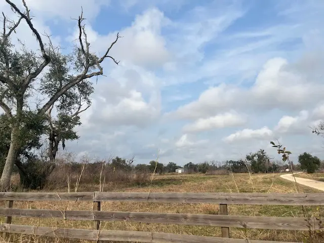 4928 County Road 819, Brazoria, TX 77422 - Image #1