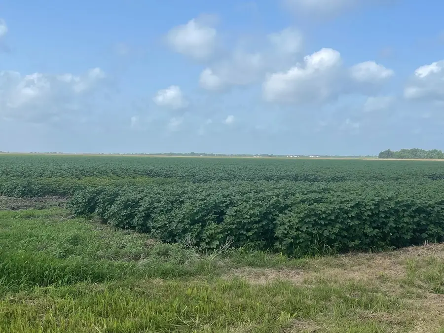 10815 Koym Road, Beasley, TX 77417 - #2
