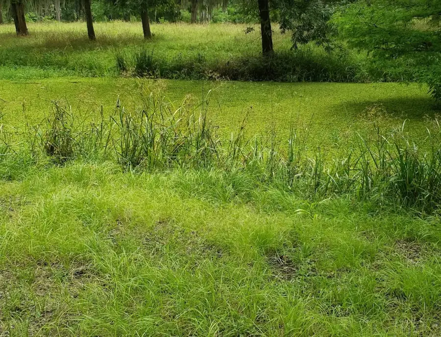 0 Hunter Dr Circle, Cleveland, TX 77327 - Image #2