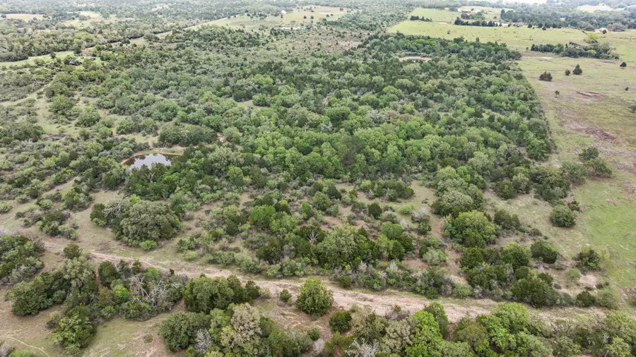 TBD Tobias Road, Columbus, TX 78934 - #3