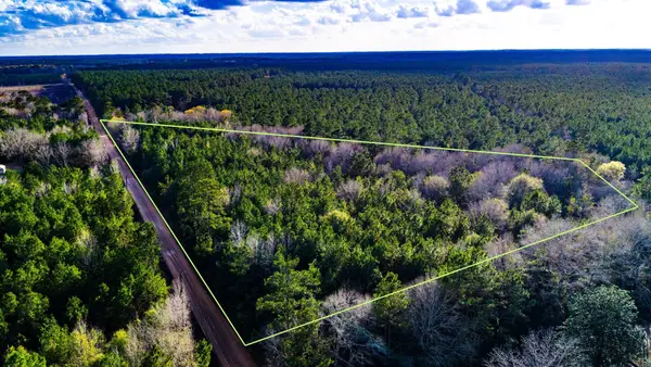 000 Holly Grove Road, Livingston, TX 77351