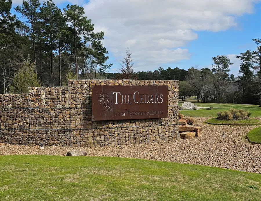 9568 Lakeside Oaks Drive, Plantersville, TX 77363 - #3