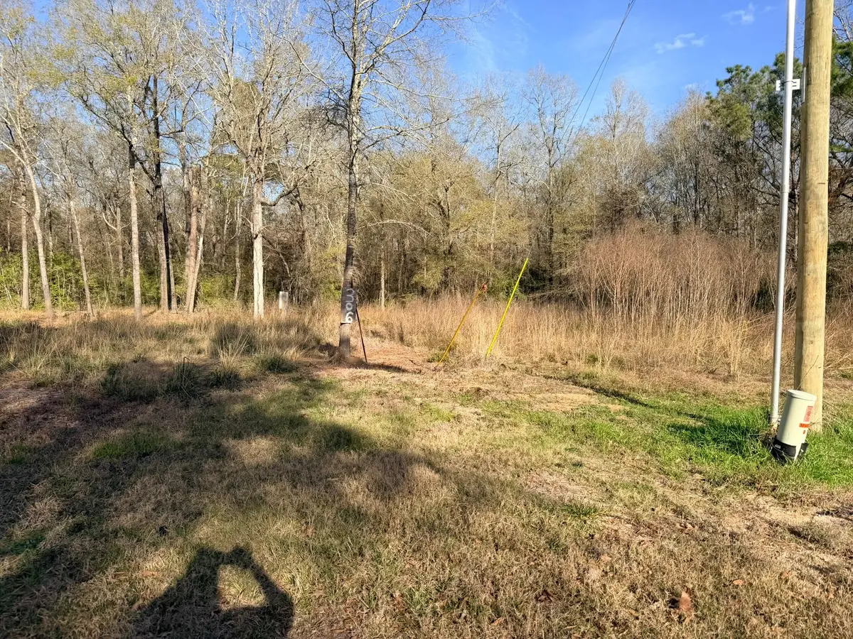 306 Indian Oaks, Livingston, TX 77351 - Image #1