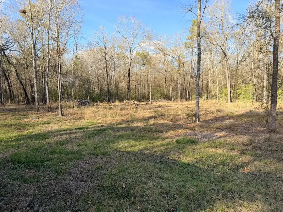 306 Indian Oaks, Livingston, TX 77351 - Image #2