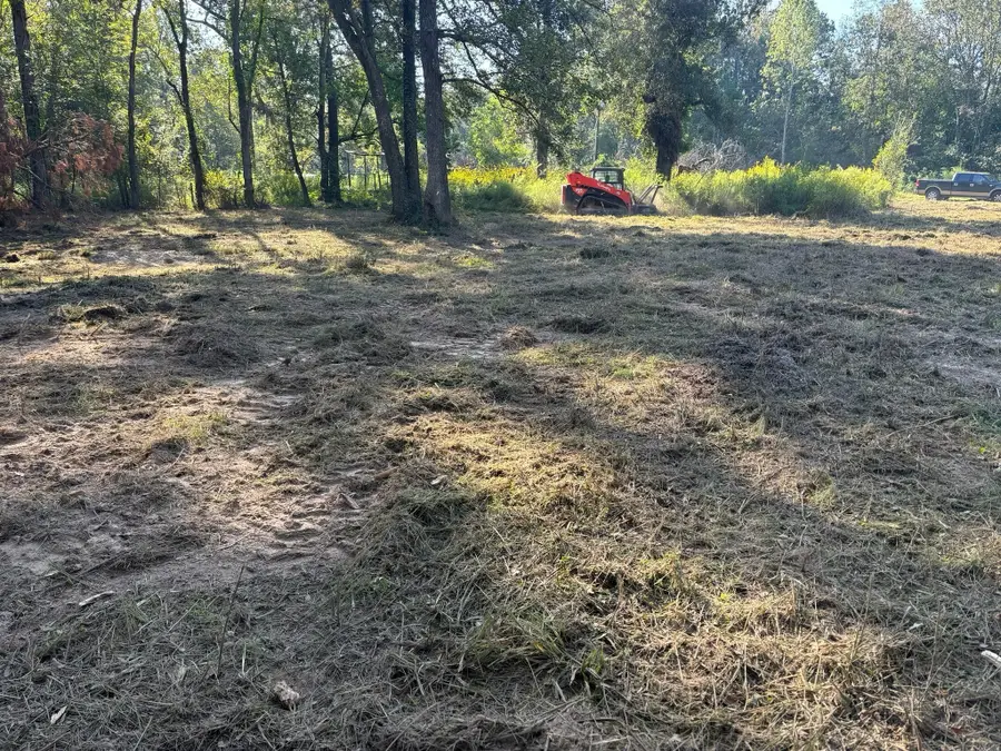 17271 S Tram Road, Splendora, TX 77372 - Image #3