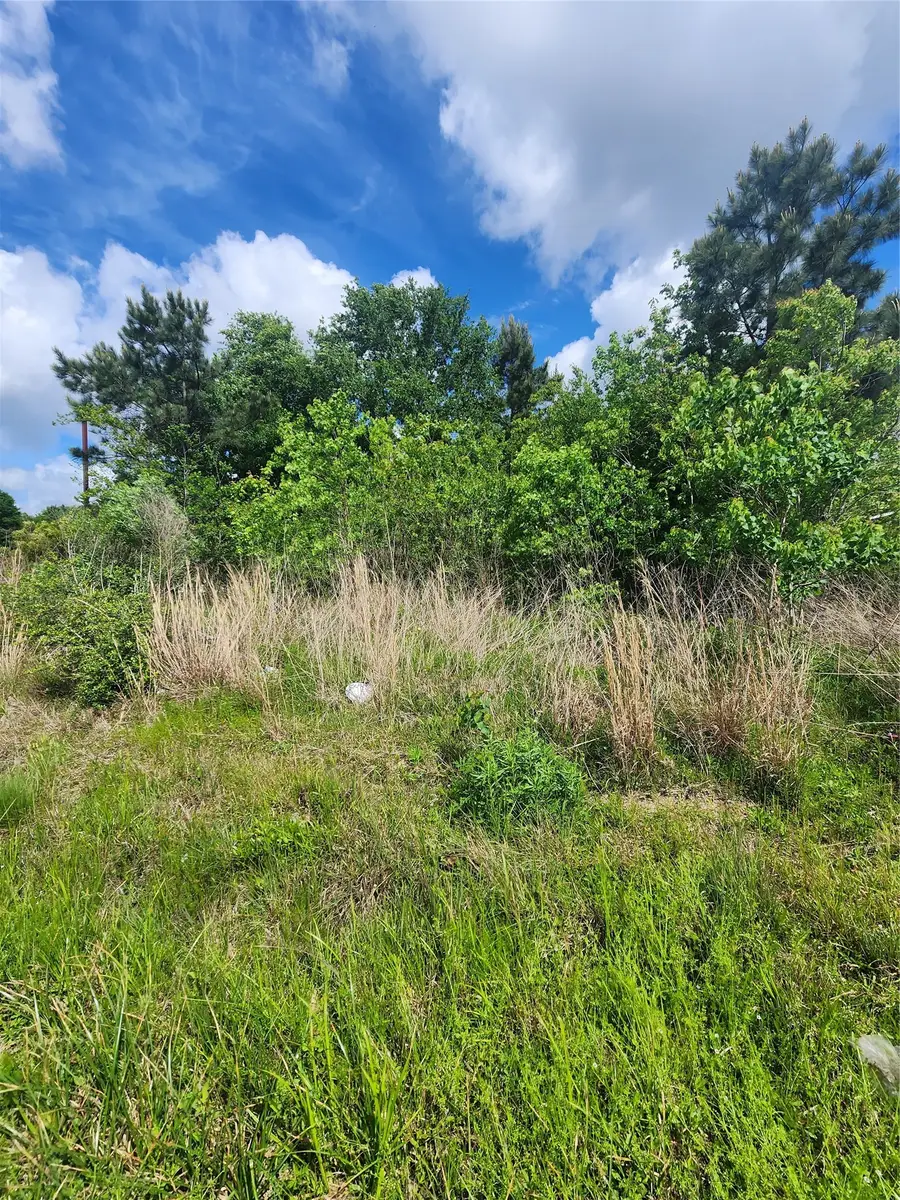 1117 County Road 3556, Cleveland, TX 77327 - #3