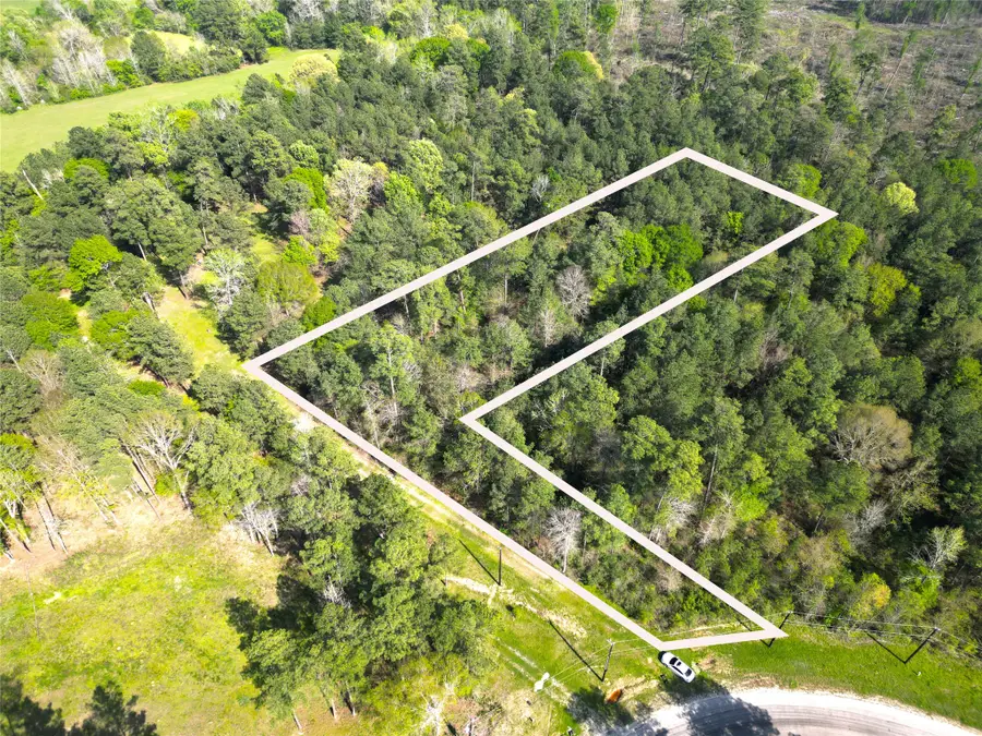 9 Dedication Trail, Huntsville, TX 77340 - Image #3