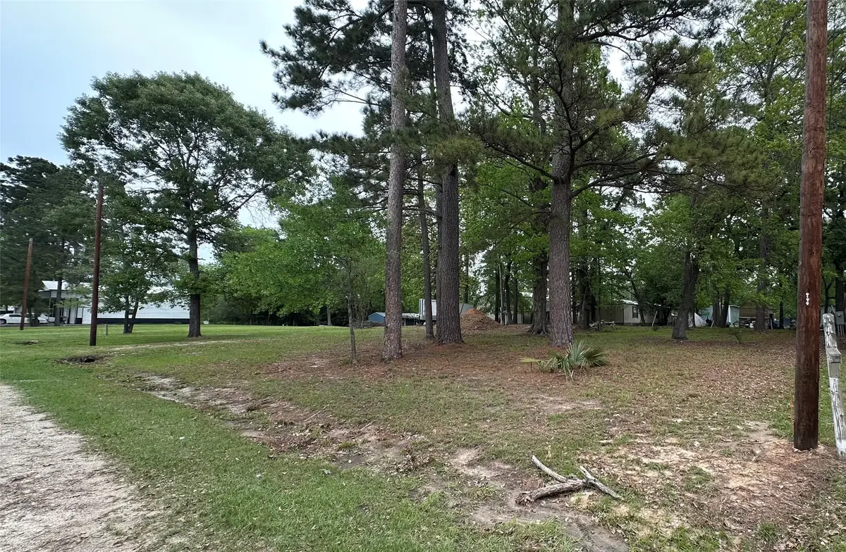 180 Holly Trail, Trinity, TX 75862 - #1