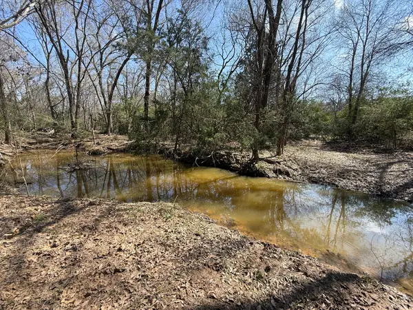 TBD Tract #11 Fcr 445, Fairfield, TX 75840