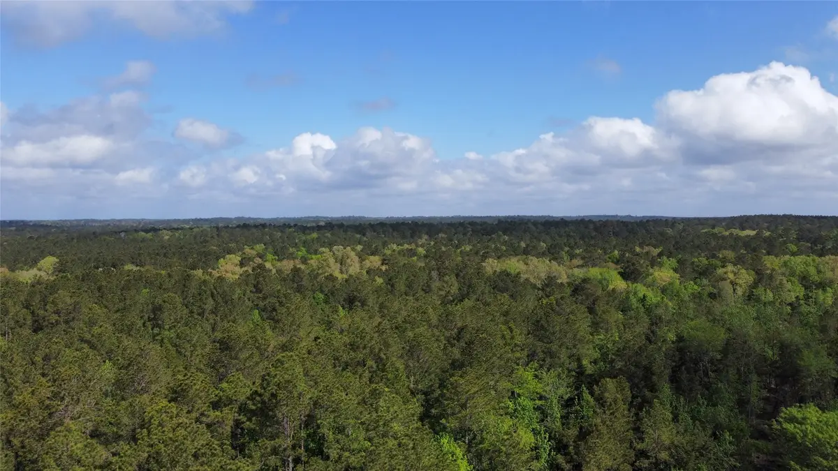 1648 Timber Road 23 N, Chester, TX 75936 - #1