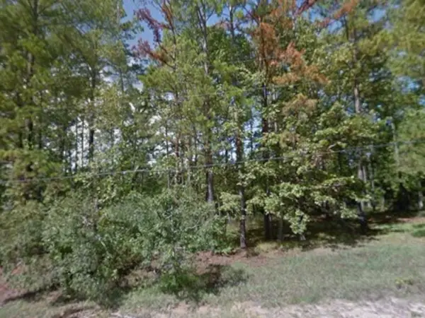 340 Oak Tree Drive, Point Blank, TX 77364