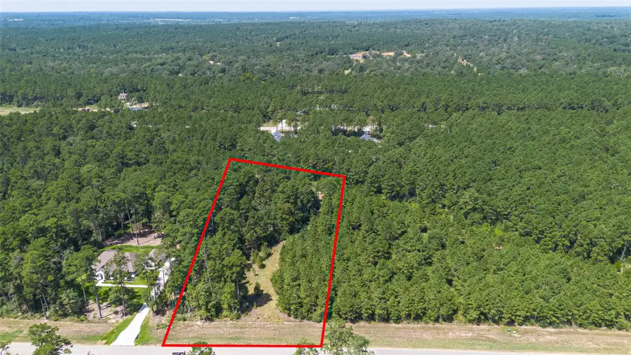 15881 Wood Grove Way, Willis, TX 77378 - #2