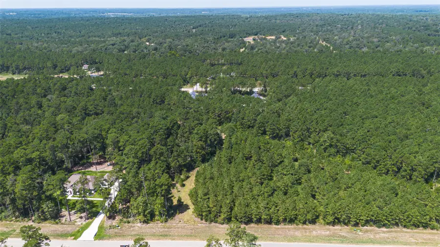 15881 Wood Grove Way, Willis, TX 77378 - #3