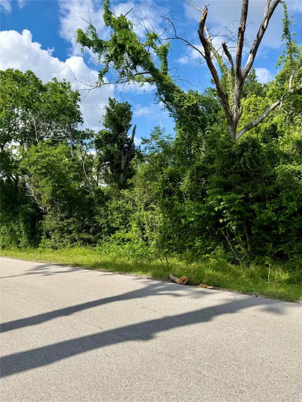 13650 Salt Grass Trail Lot 106, Cypress, TX 77429