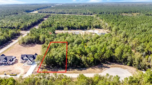 1717 Road 66118, Dayton, TX 77535