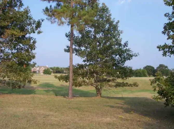 203 Sunnyvale E, Montgomery, TX 77356 - #1