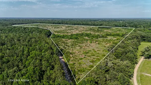 County Road 4621, Annona, TX 75550