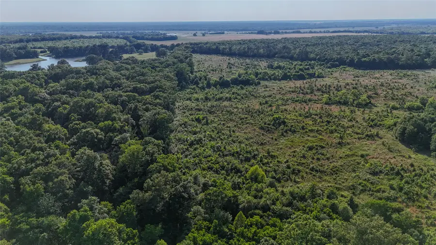 County Road 4621, Annona, TX 75550 - #2