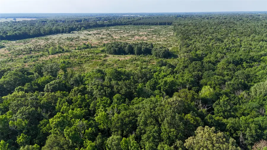 County Road 4621, Annona, TX 75550 - #3