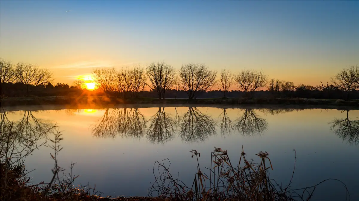 10999 Fm 230, Lovelady, TX 75851 - #1