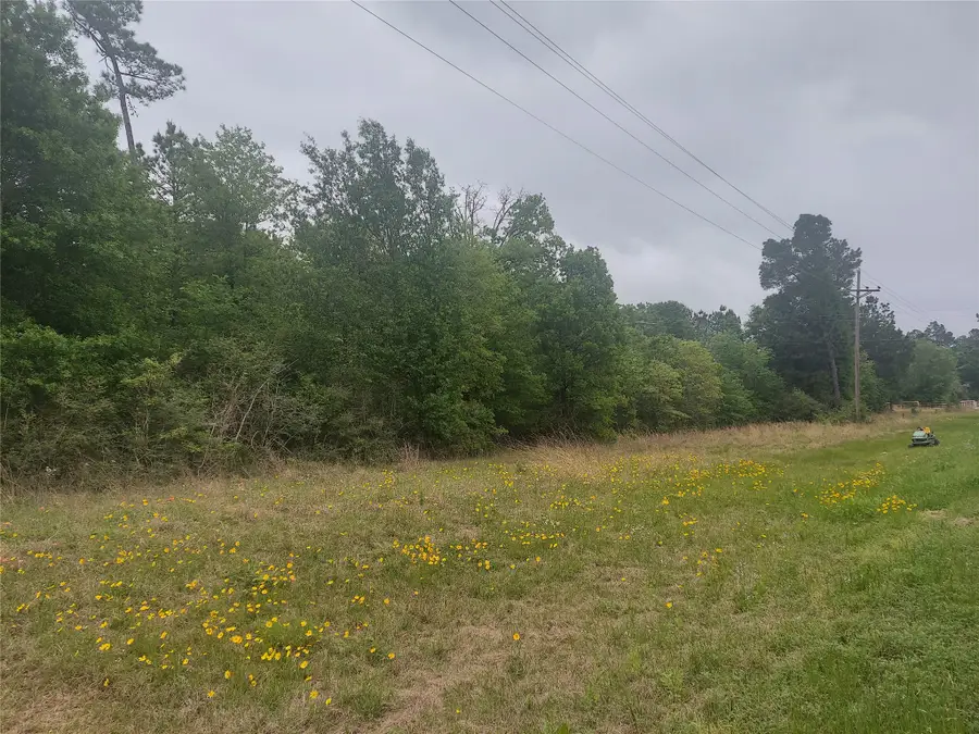 0 Fm 247, Huntsville, TX 77320 - #3