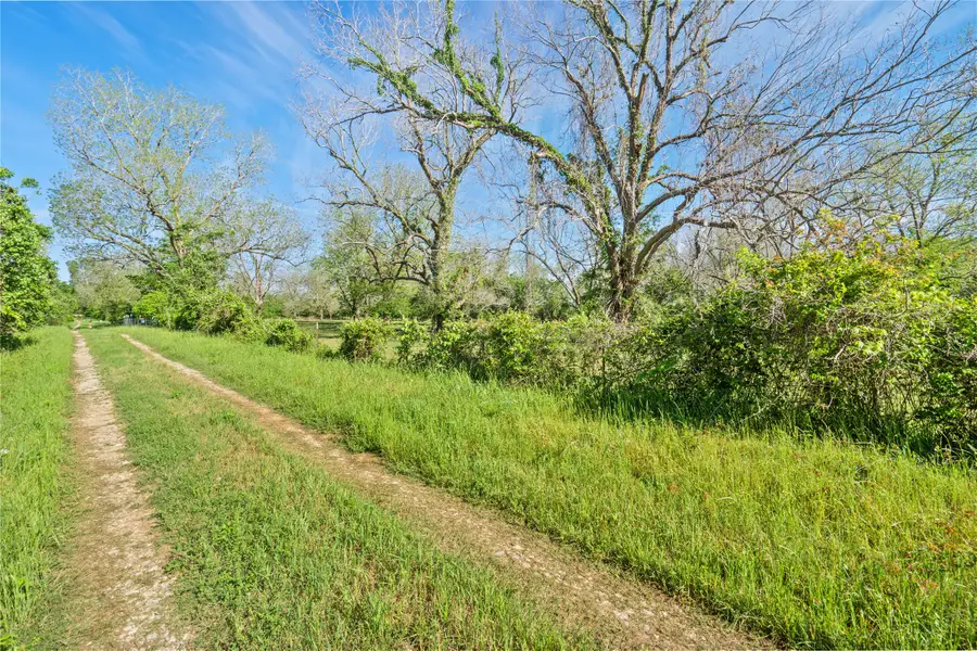 6504 Viereck Road, Sealy, TX 77474 - #3