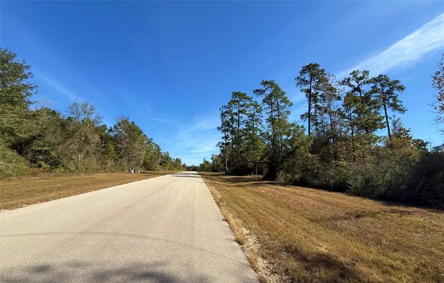 312 Iron Horse Road, New Waverly, TX 77358 - Image #2