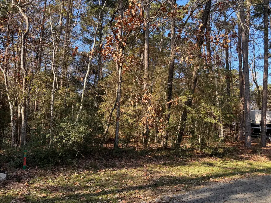 TBD N Fairway Loop, Coldspring, TX 77331 - Image #3