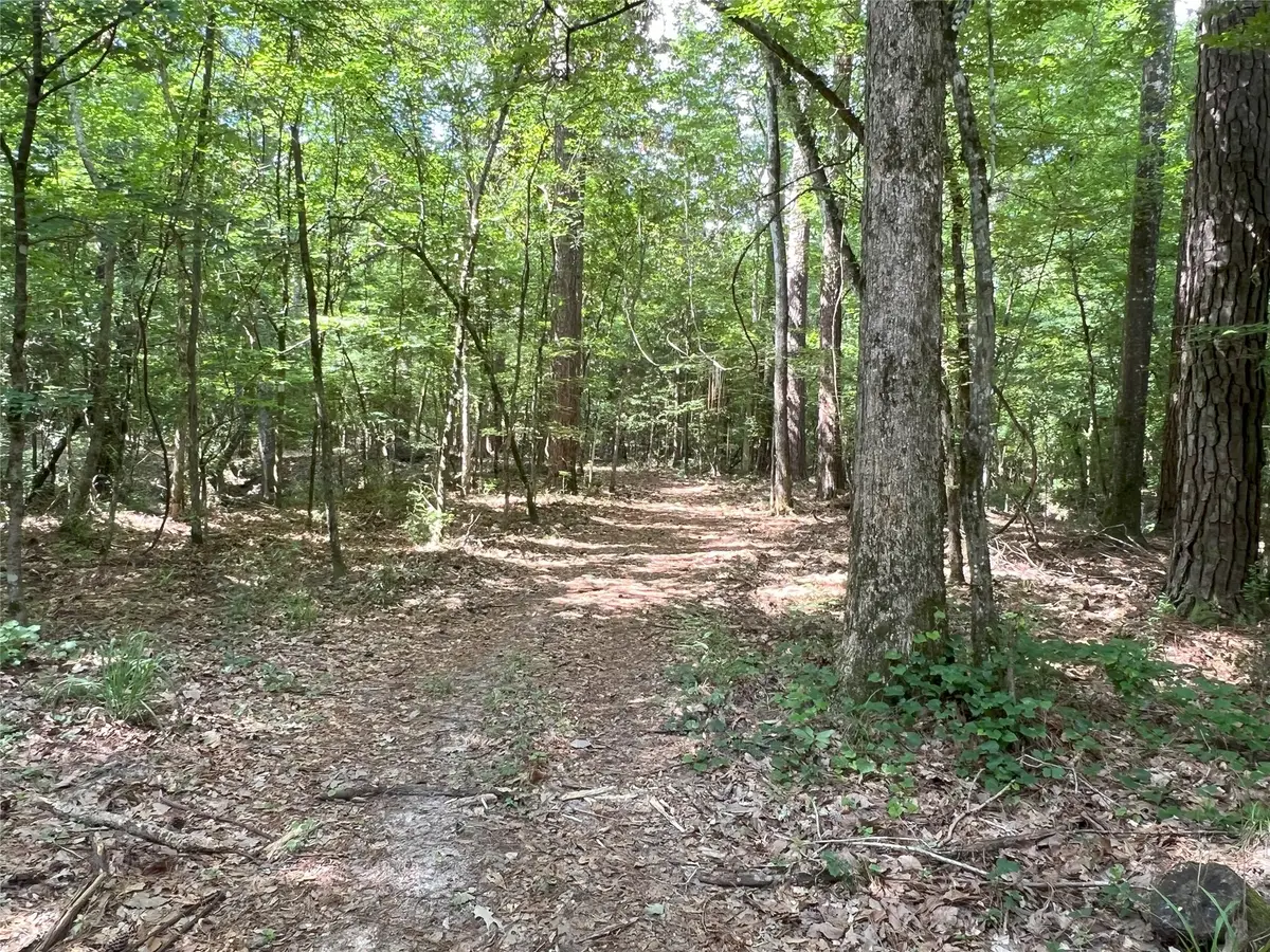 TBD Upper Leggett Road, Livingston Onalaska, TX 77350 - #1