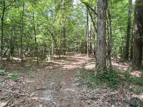 TBD Upper Leggett Road, Leggett, TX 77350