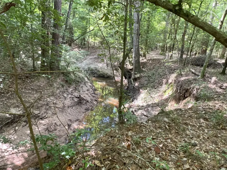 TBD Upper Leggett Road, Livingston Onalaska, TX 77350 - #2