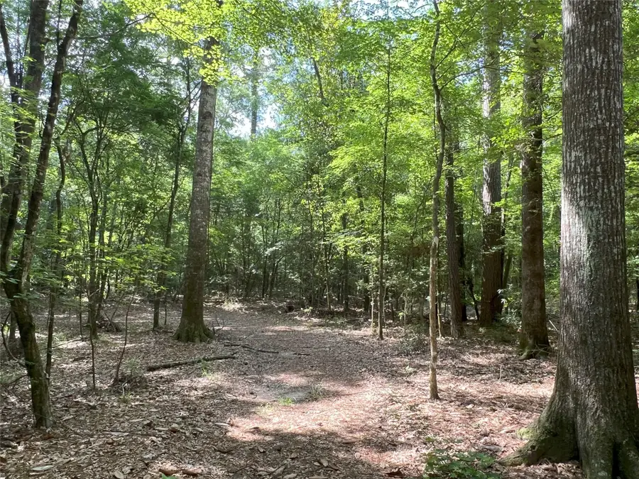 TBD Upper Leggett Road, Livingston Onalaska, TX 77350 - #3