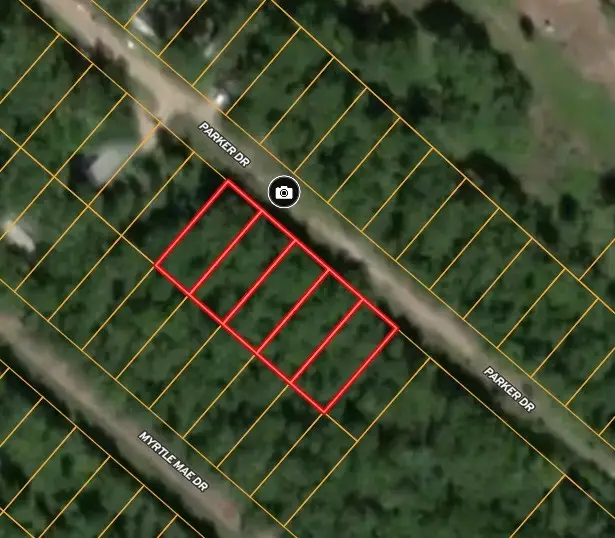 192 Parker Drive, Livingston, TX 77351 - Image #1