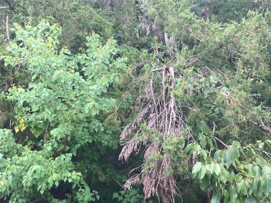 206 Arcadian Drive, Crosby, TX 77532 - Image #2