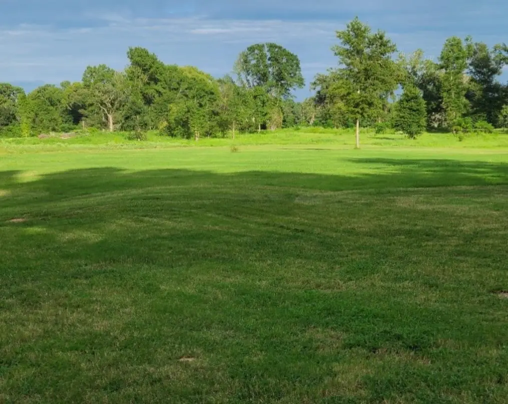 1167 County Road 2125, Crockett, TX 75835 - #1