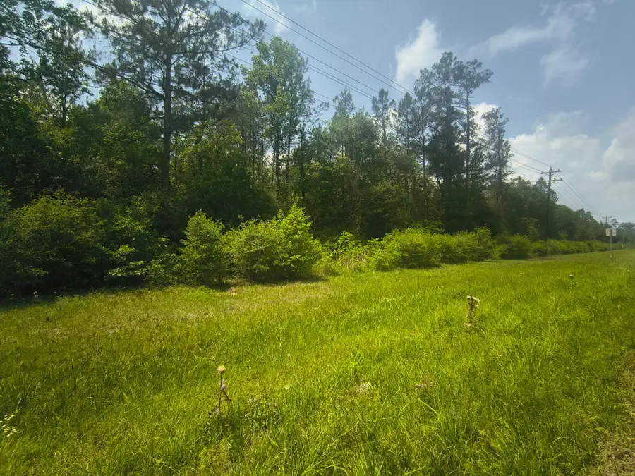 TBD Fm 105, Evadale, TX 77615 - #3