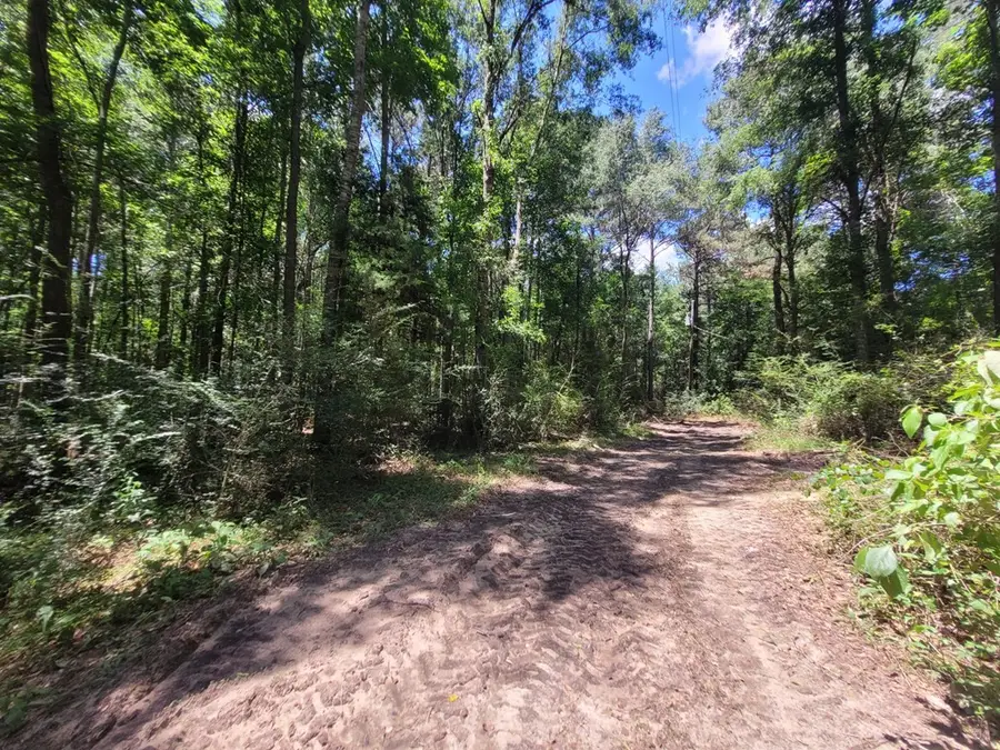 1562 Fm 1013, Kirbyville, TX 75956 - #3